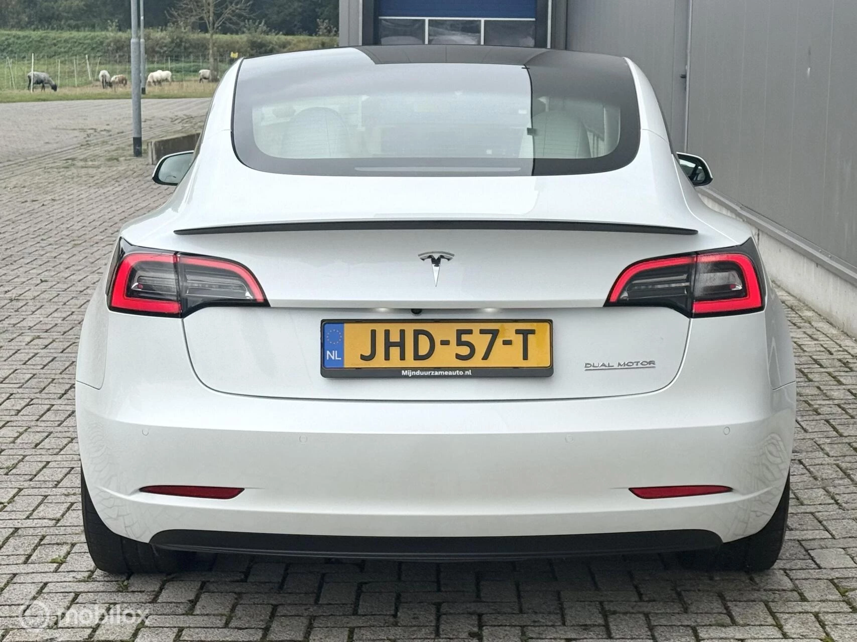 Hoofdafbeelding Tesla Model 3