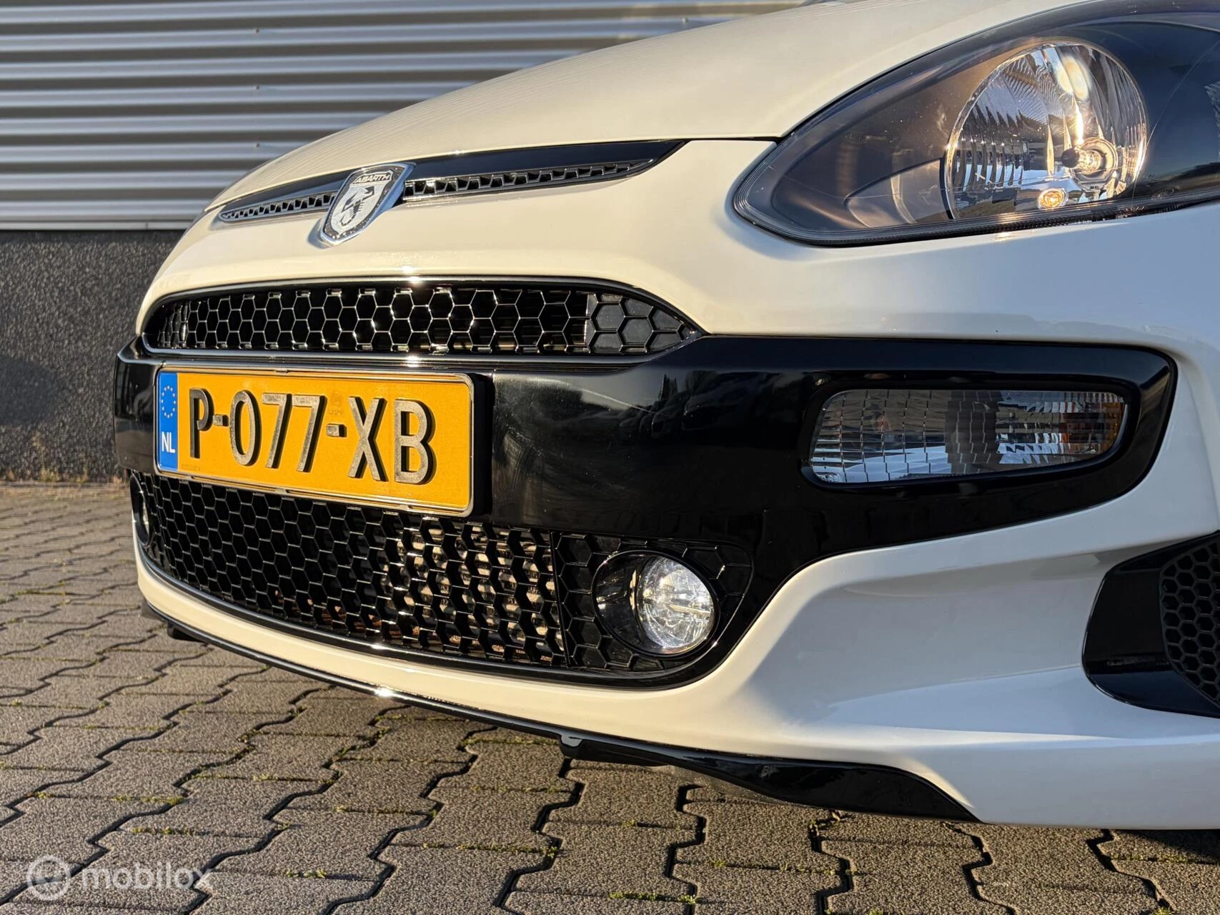 Hoofdafbeelding Fiat Punto