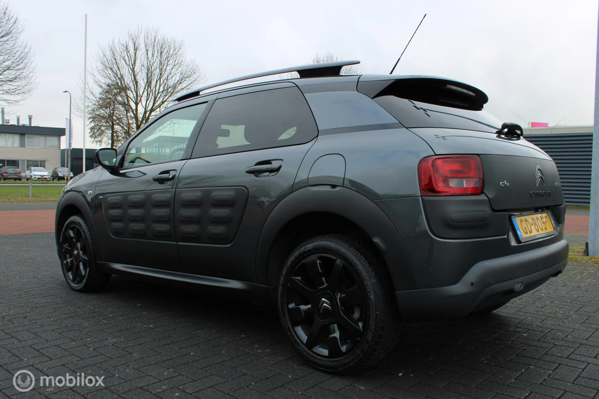 Hoofdafbeelding Citroën C4 Cactus