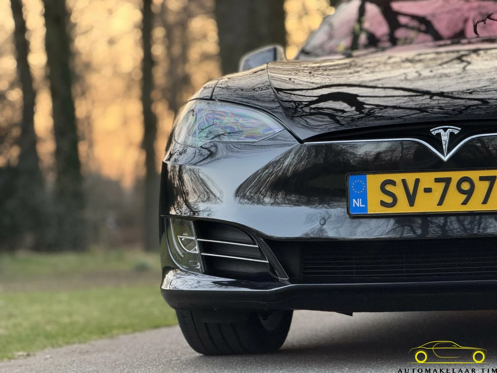 Hoofdafbeelding Tesla Model S