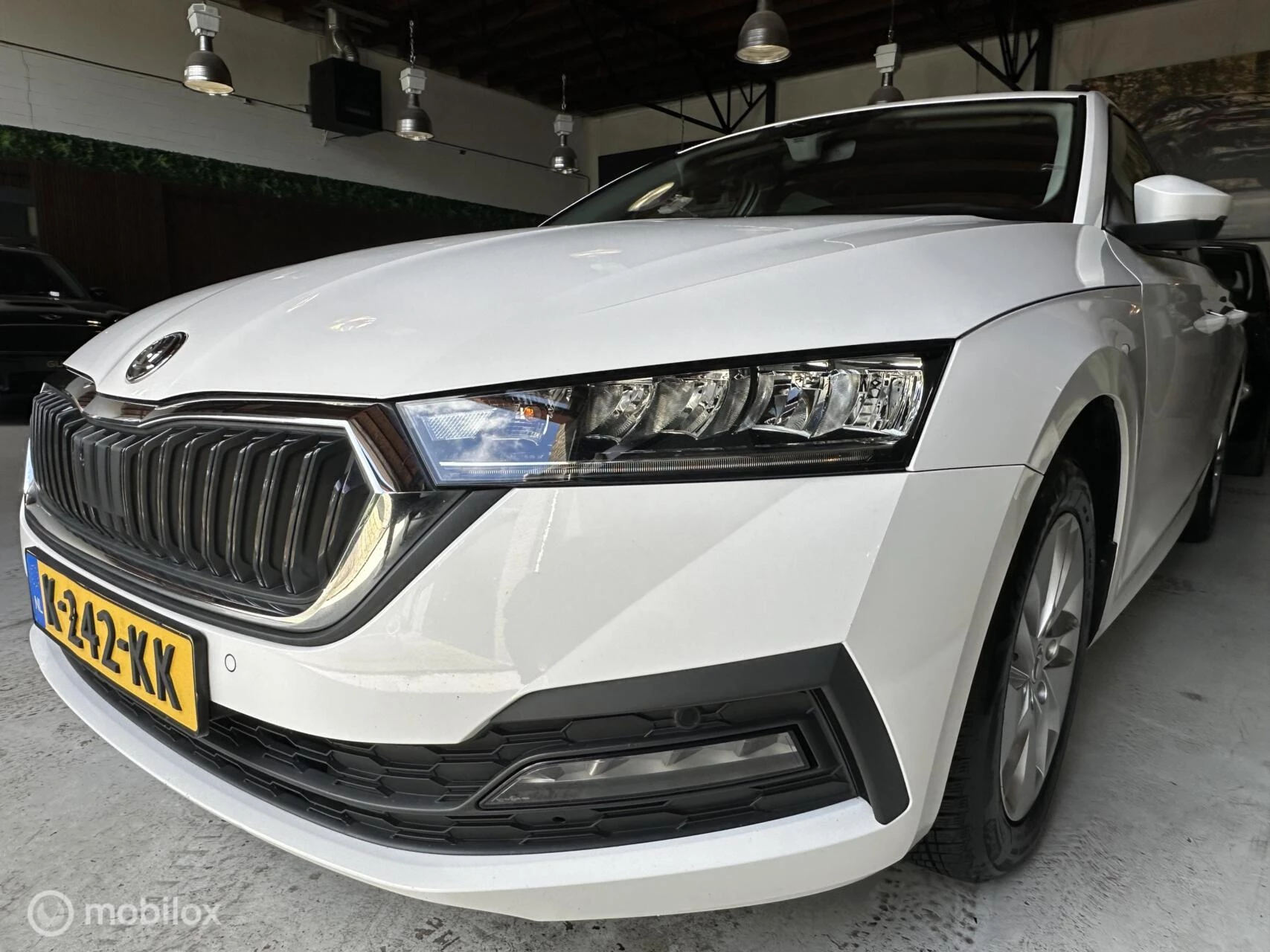 Hoofdafbeelding Škoda Octavia