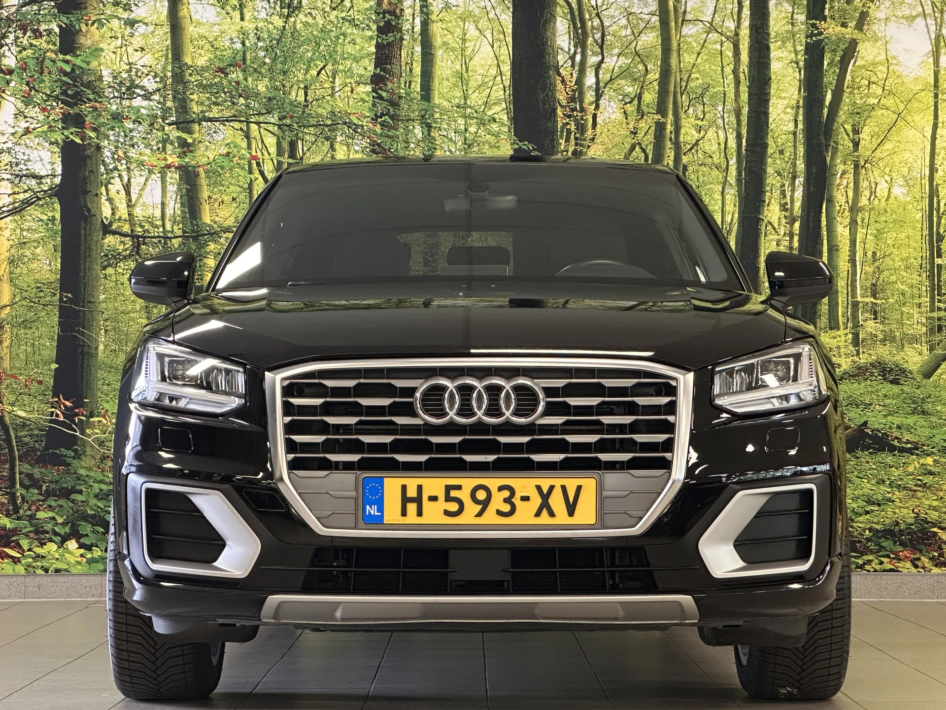 Hoofdafbeelding Audi Q2