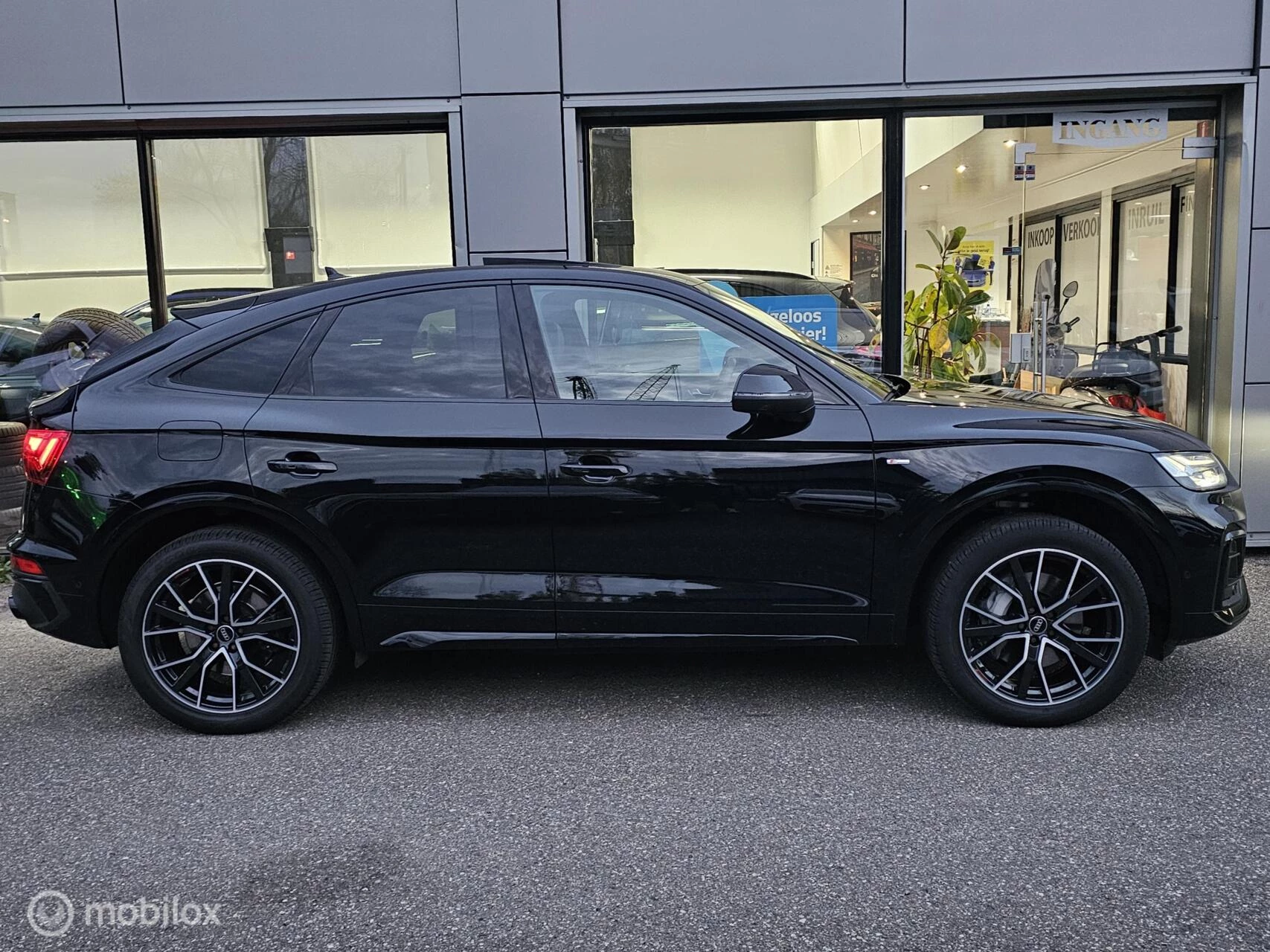 Hoofdafbeelding Audi Q5