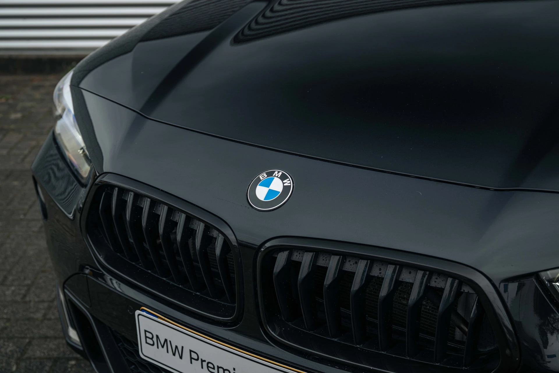 Hoofdafbeelding BMW X2