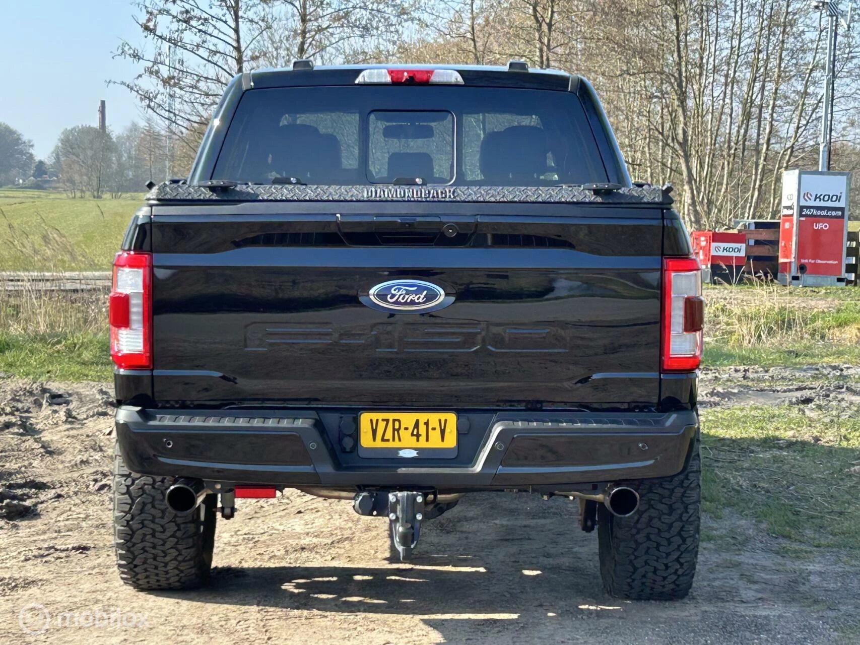 Hoofdafbeelding Ford F-150