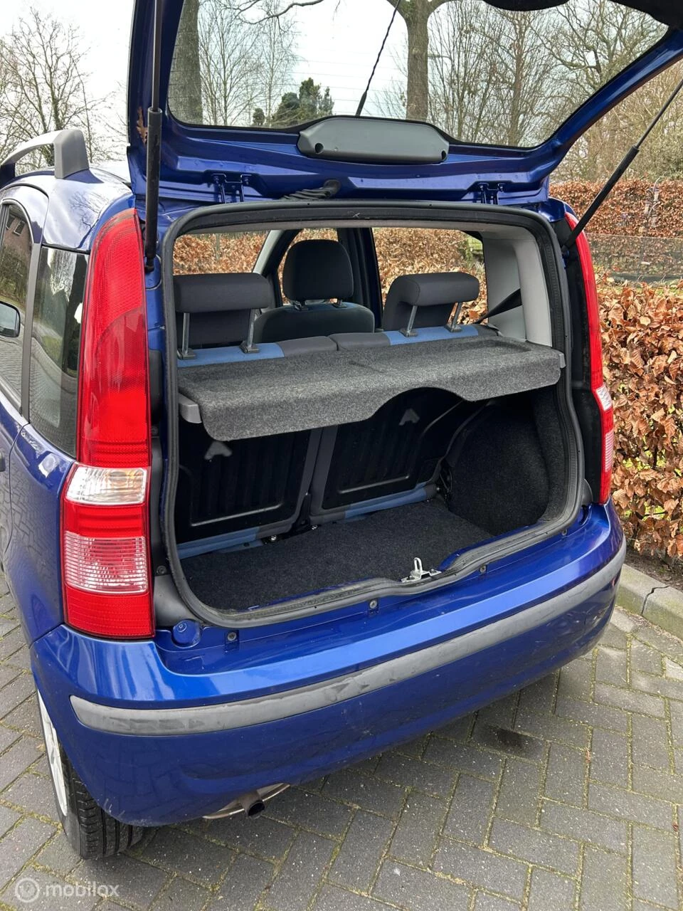 Hoofdafbeelding Fiat Panda