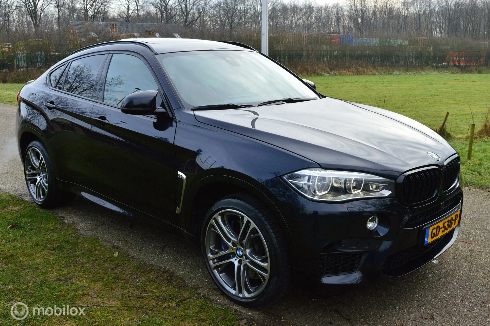 Hoofdafbeelding BMW X6