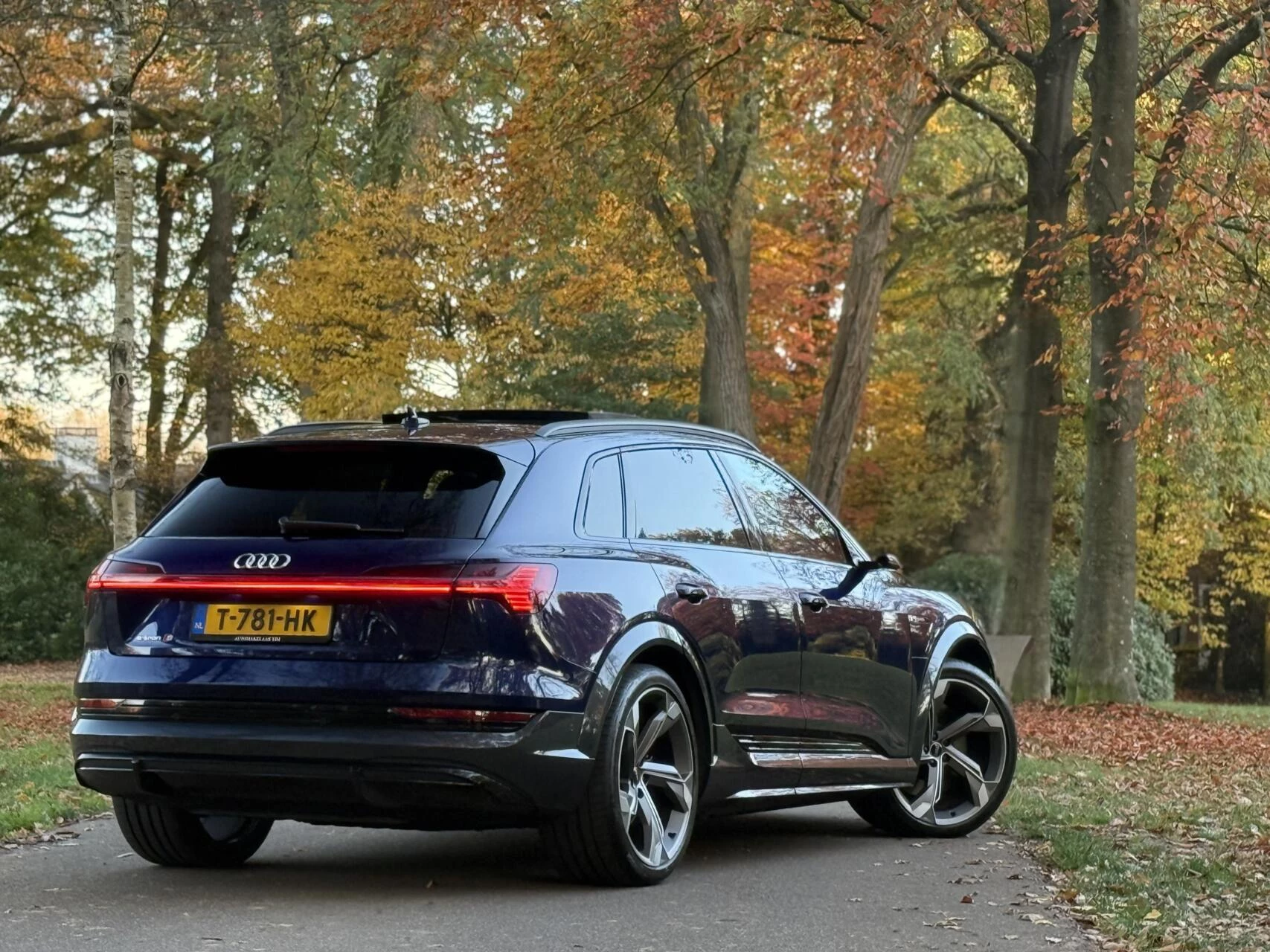 Hoofdafbeelding Audi e-tron
