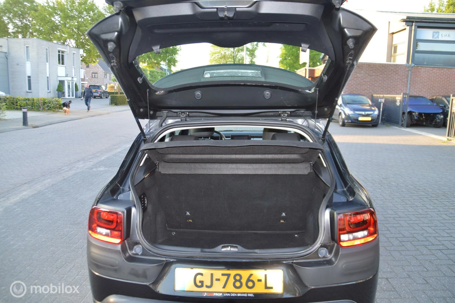 Hoofdafbeelding Citroën C4 Cactus