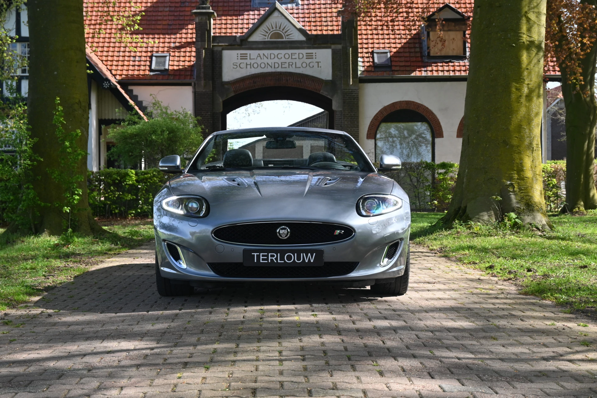 Hoofdafbeelding Jaguar XK