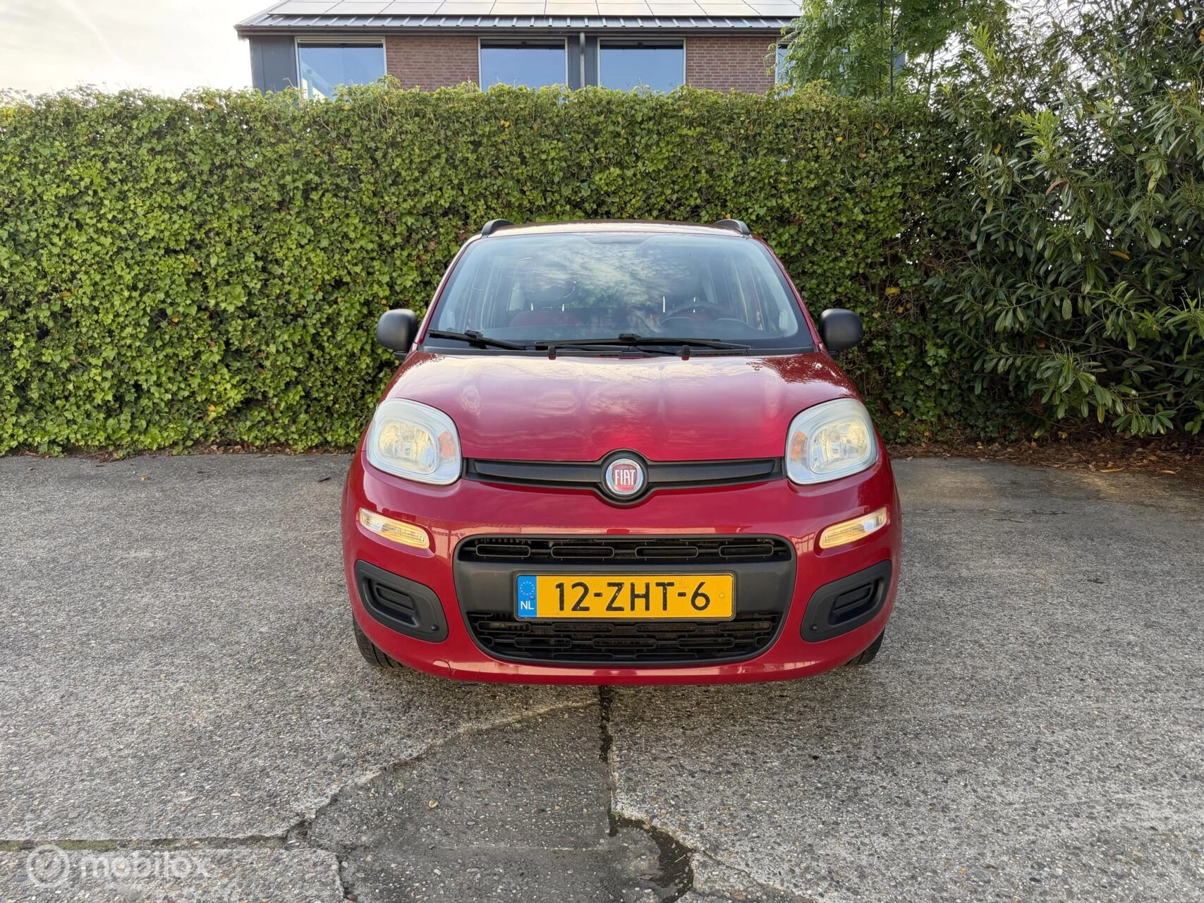 Hoofdafbeelding Fiat Panda