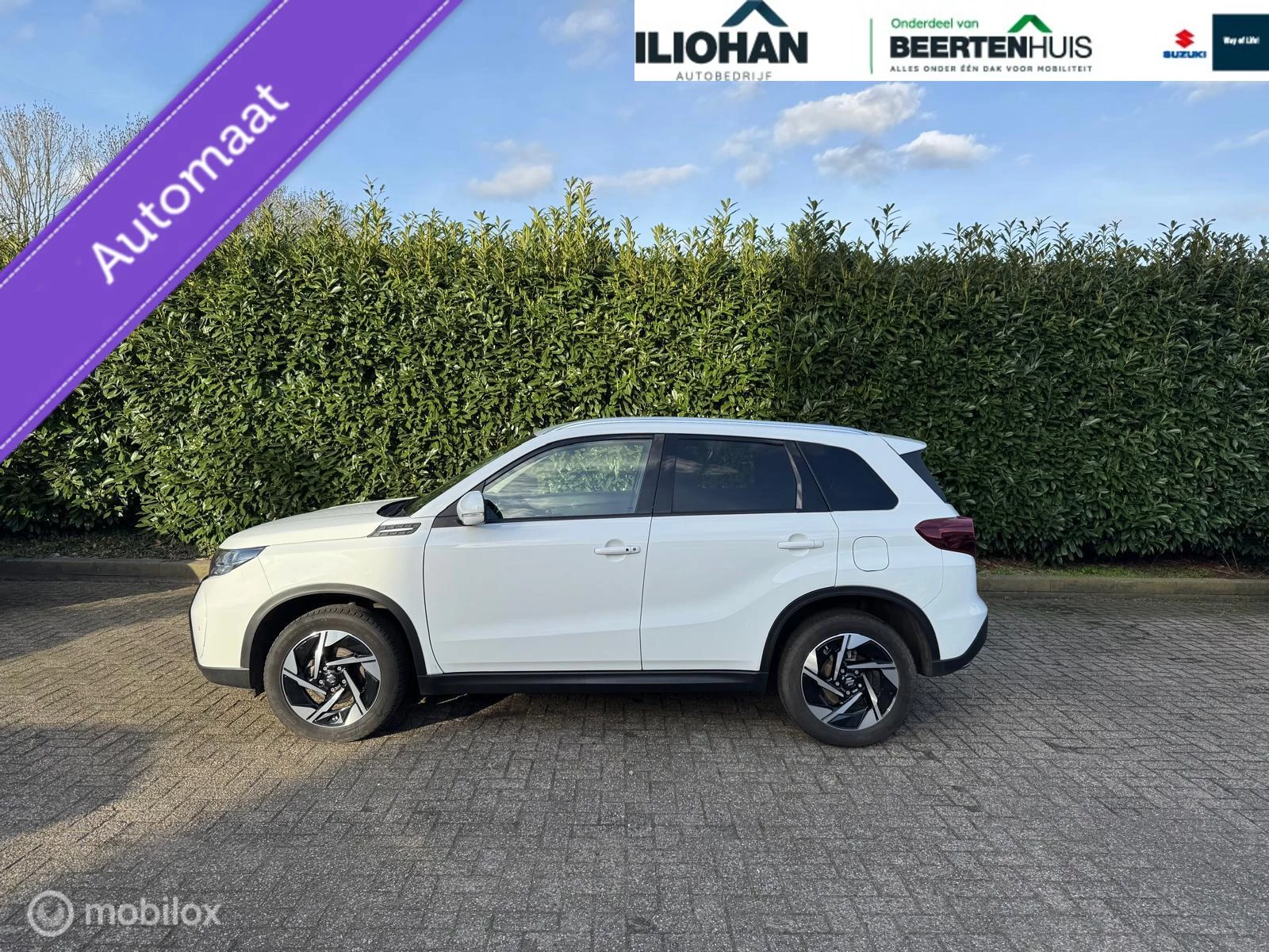 Hoofdafbeelding Suzuki Vitara