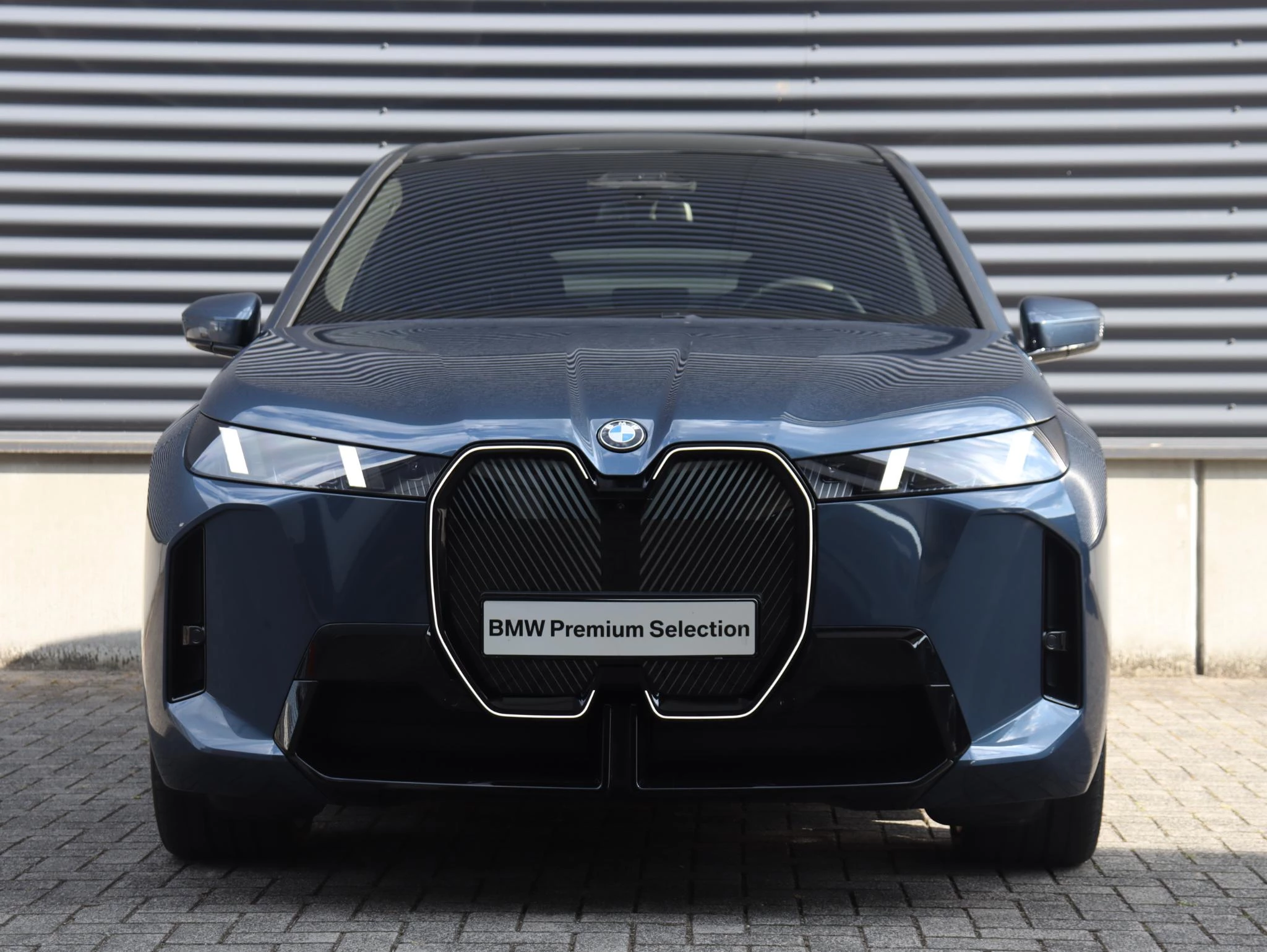 Hoofdafbeelding BMW iX