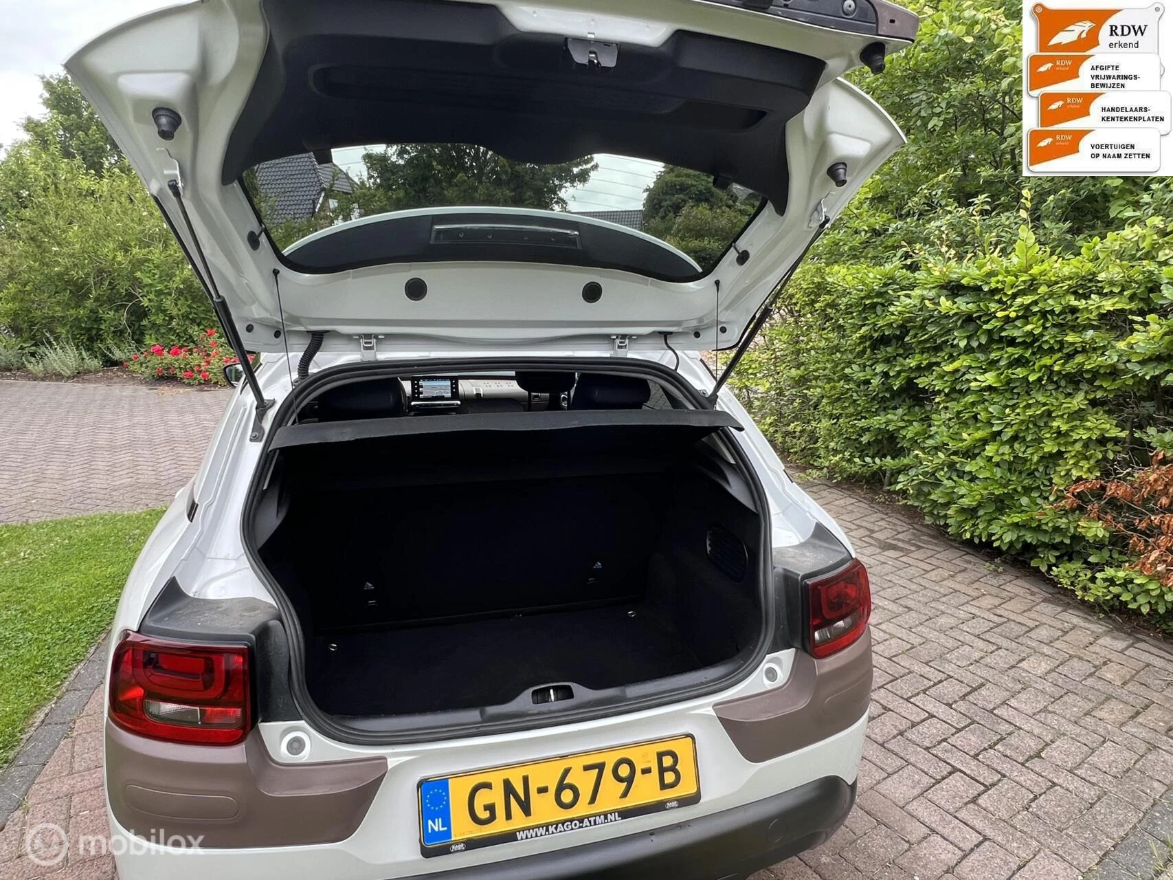 Hoofdafbeelding Citroën C4 Cactus