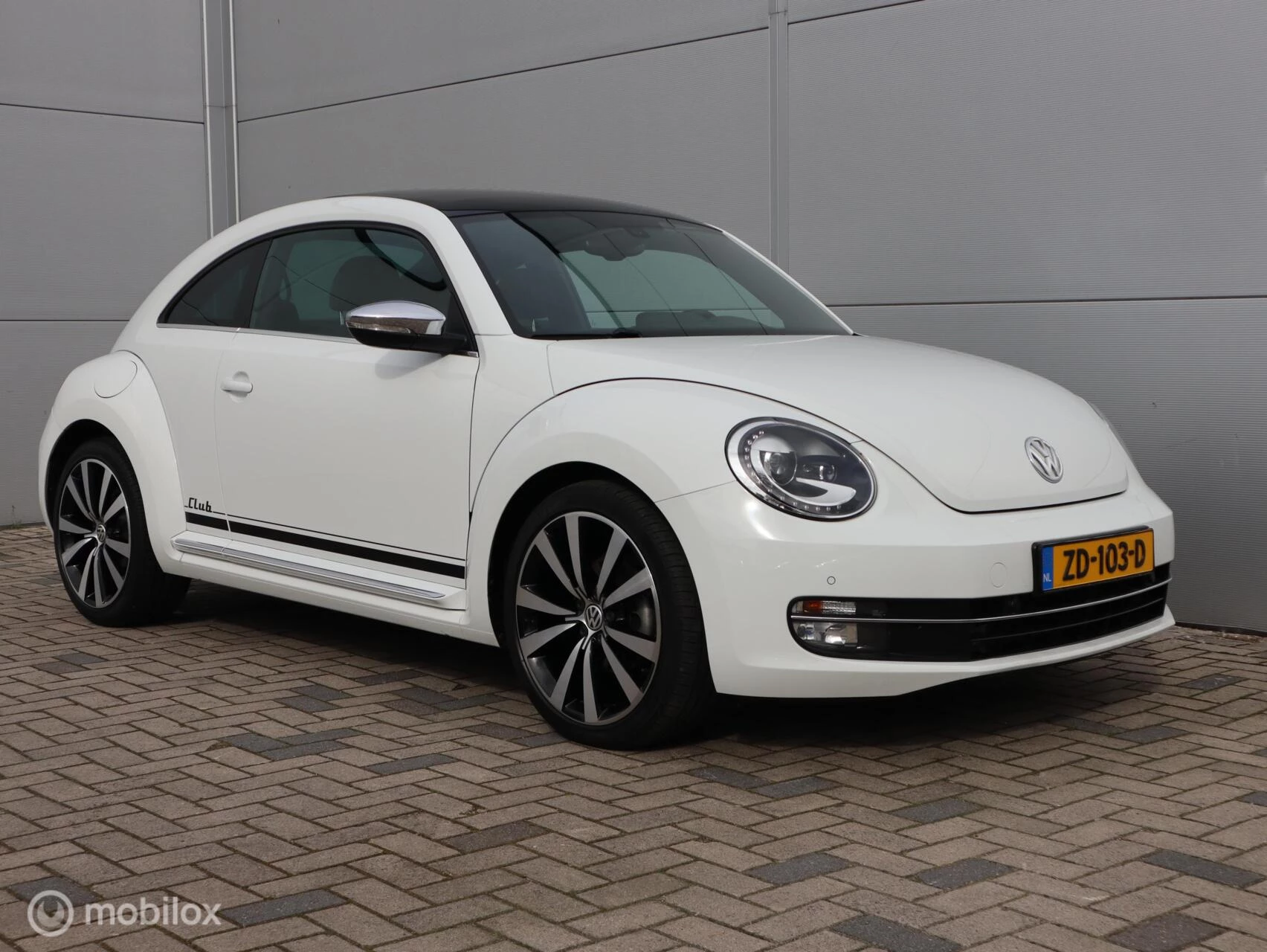 Hoofdafbeelding Volkswagen Beetle