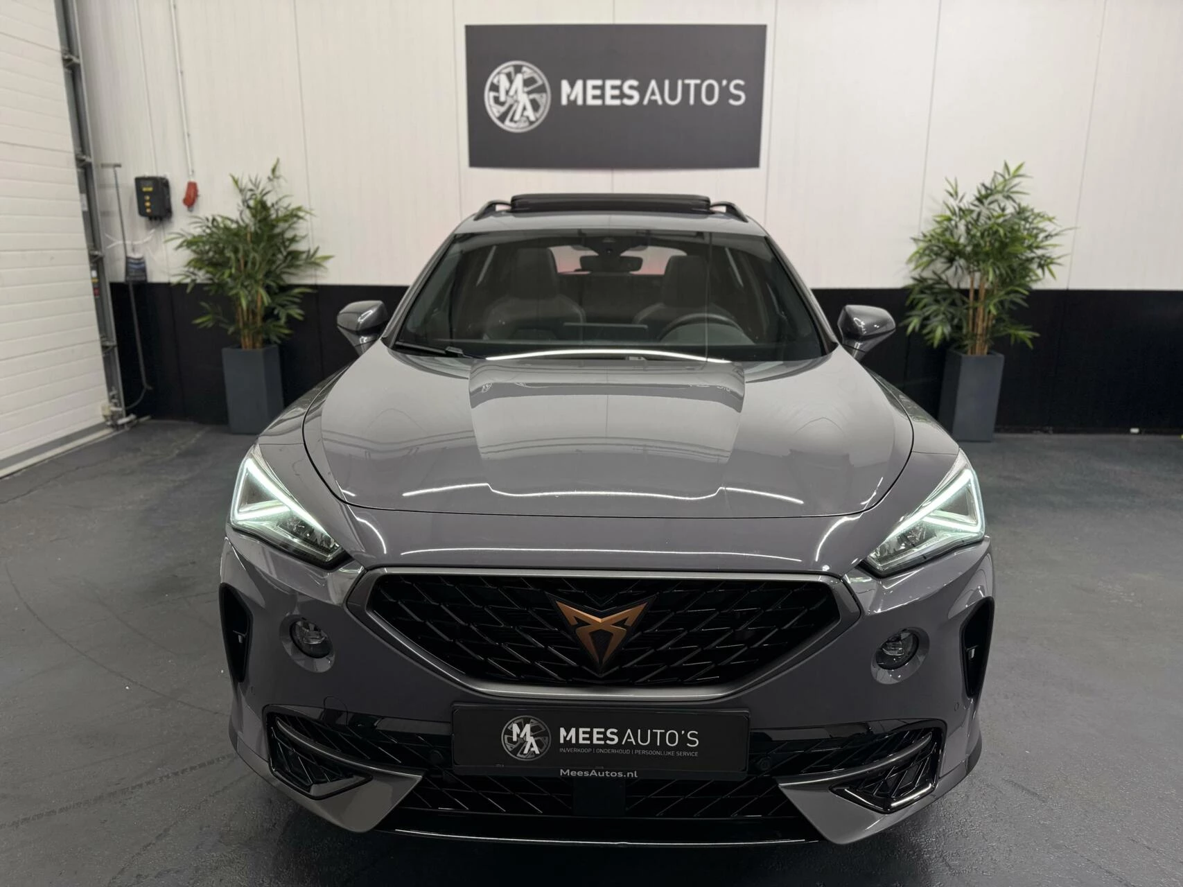 Hoofdafbeelding CUPRA Formentor