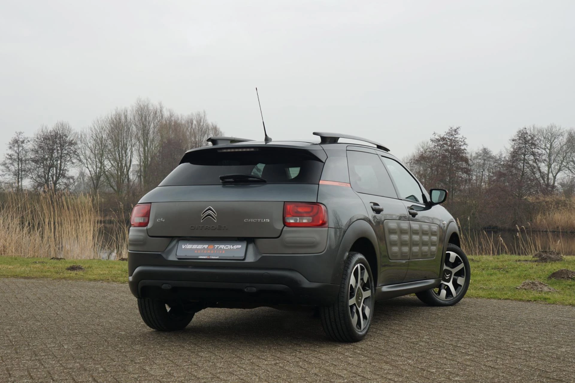 Hoofdafbeelding Citroën C4 Cactus