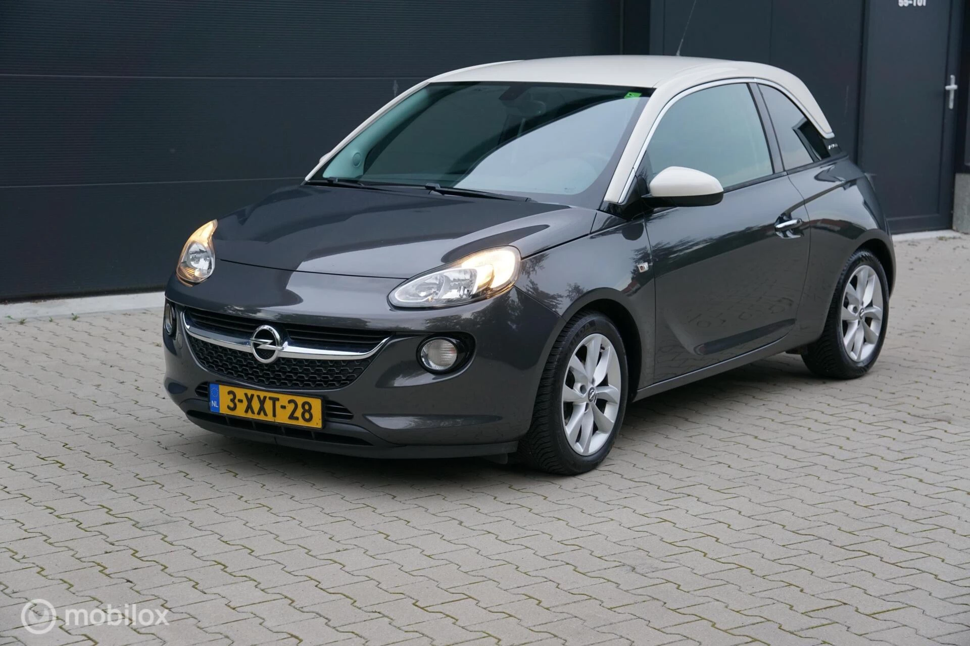 Hoofdafbeelding Opel ADAM