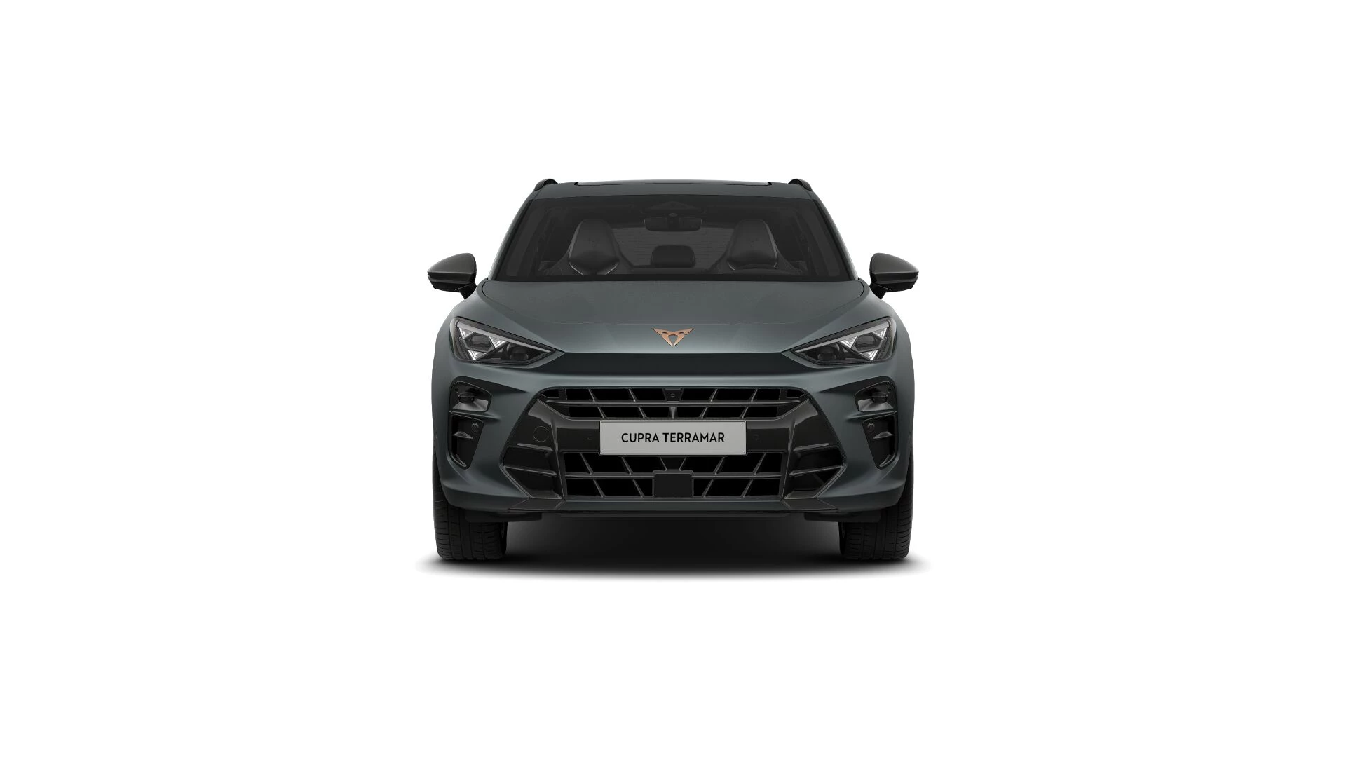 Hoofdafbeelding CUPRA Terramar