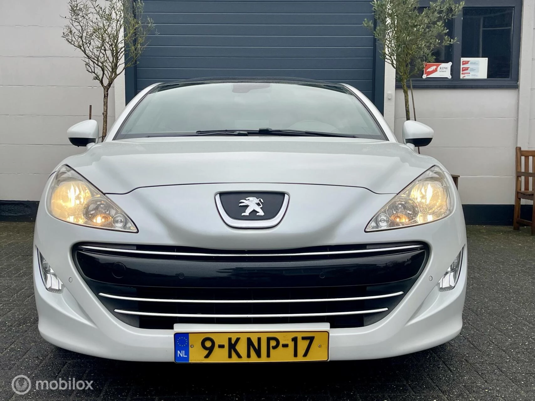 Hoofdafbeelding Peugeot RCZ