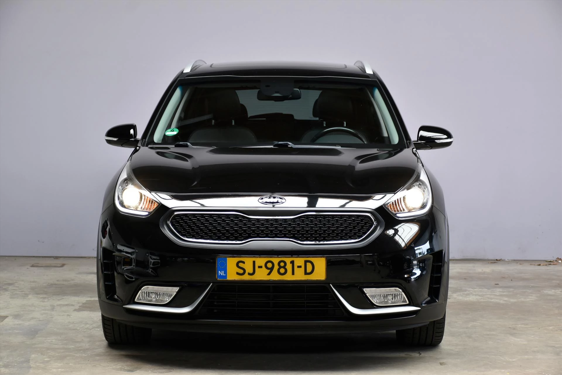 Hoofdafbeelding Kia Niro