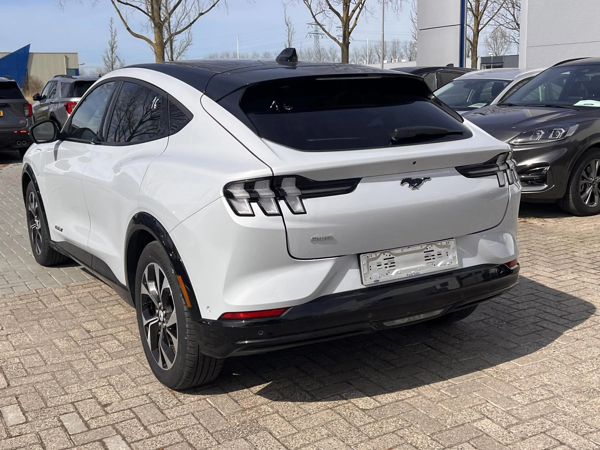 Hoofdafbeelding Ford Mustang Mach-E