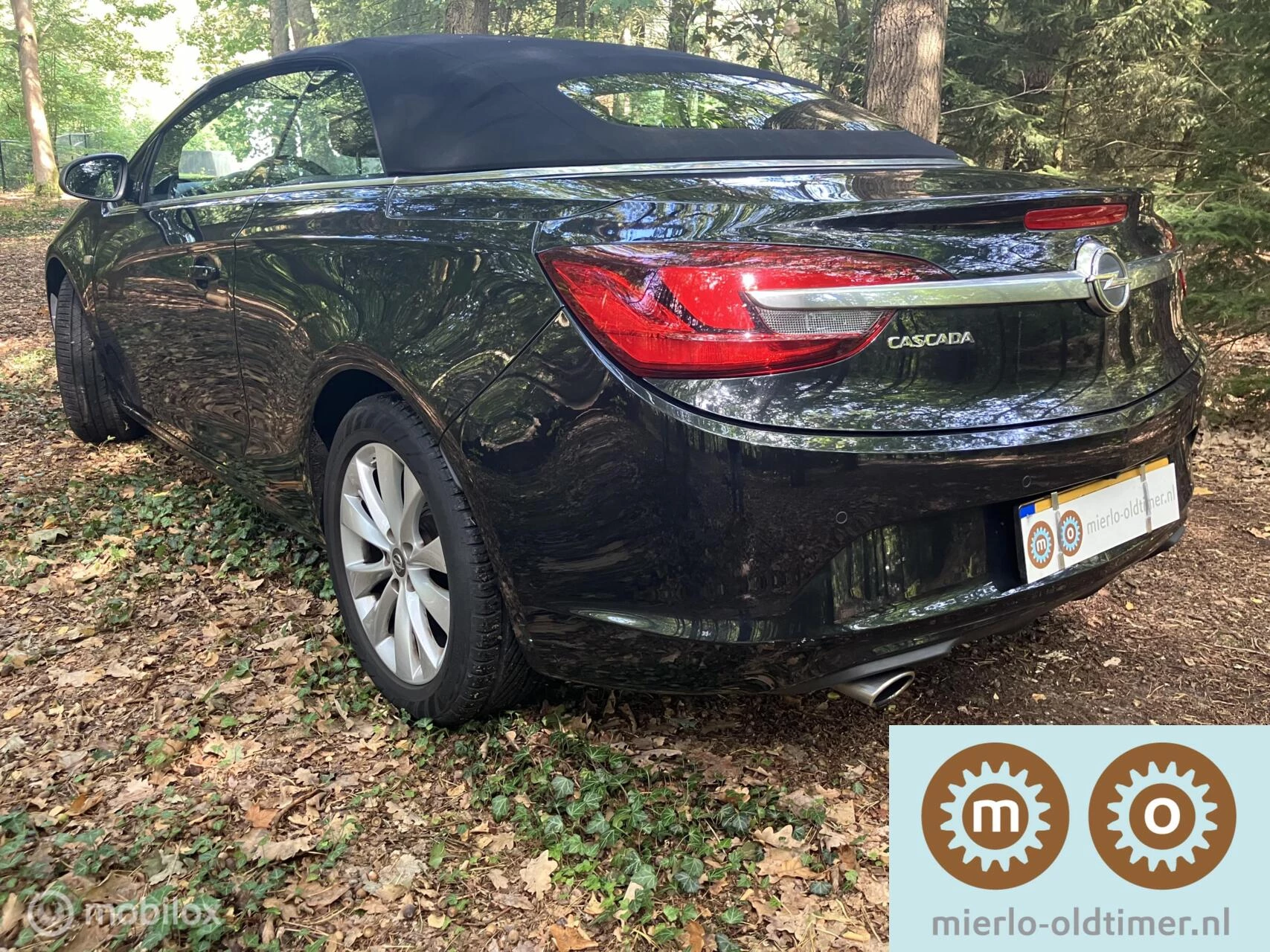Hoofdafbeelding Opel Cascada