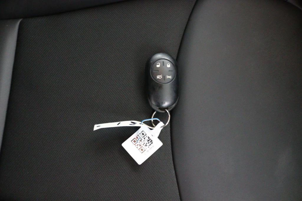 Hoofdafbeelding Fiat 500X