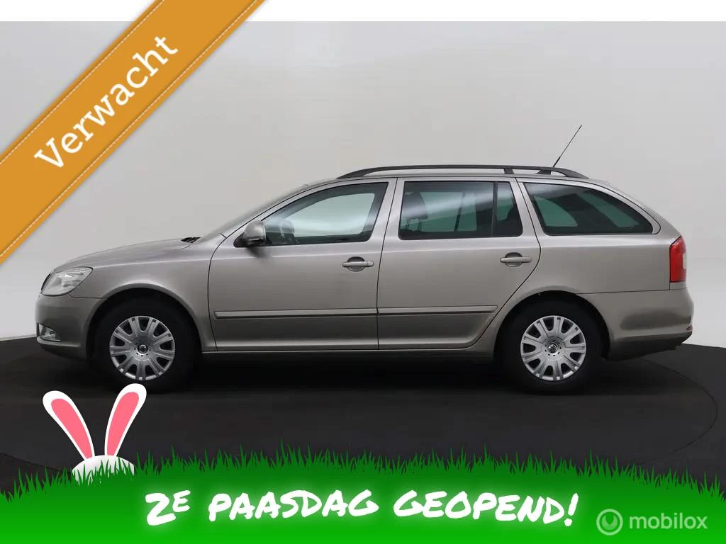 Hoofdafbeelding Škoda Octavia