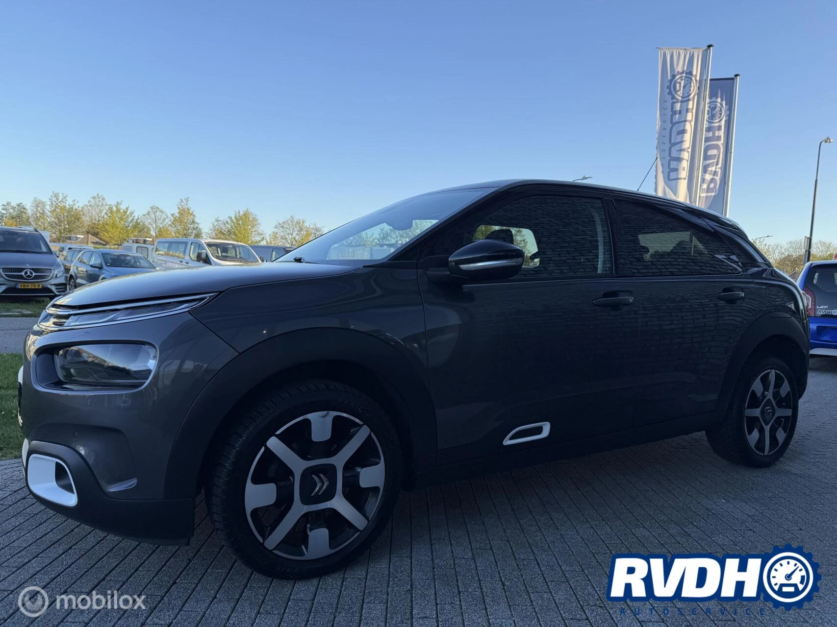 Hoofdafbeelding Citroën C4 Cactus