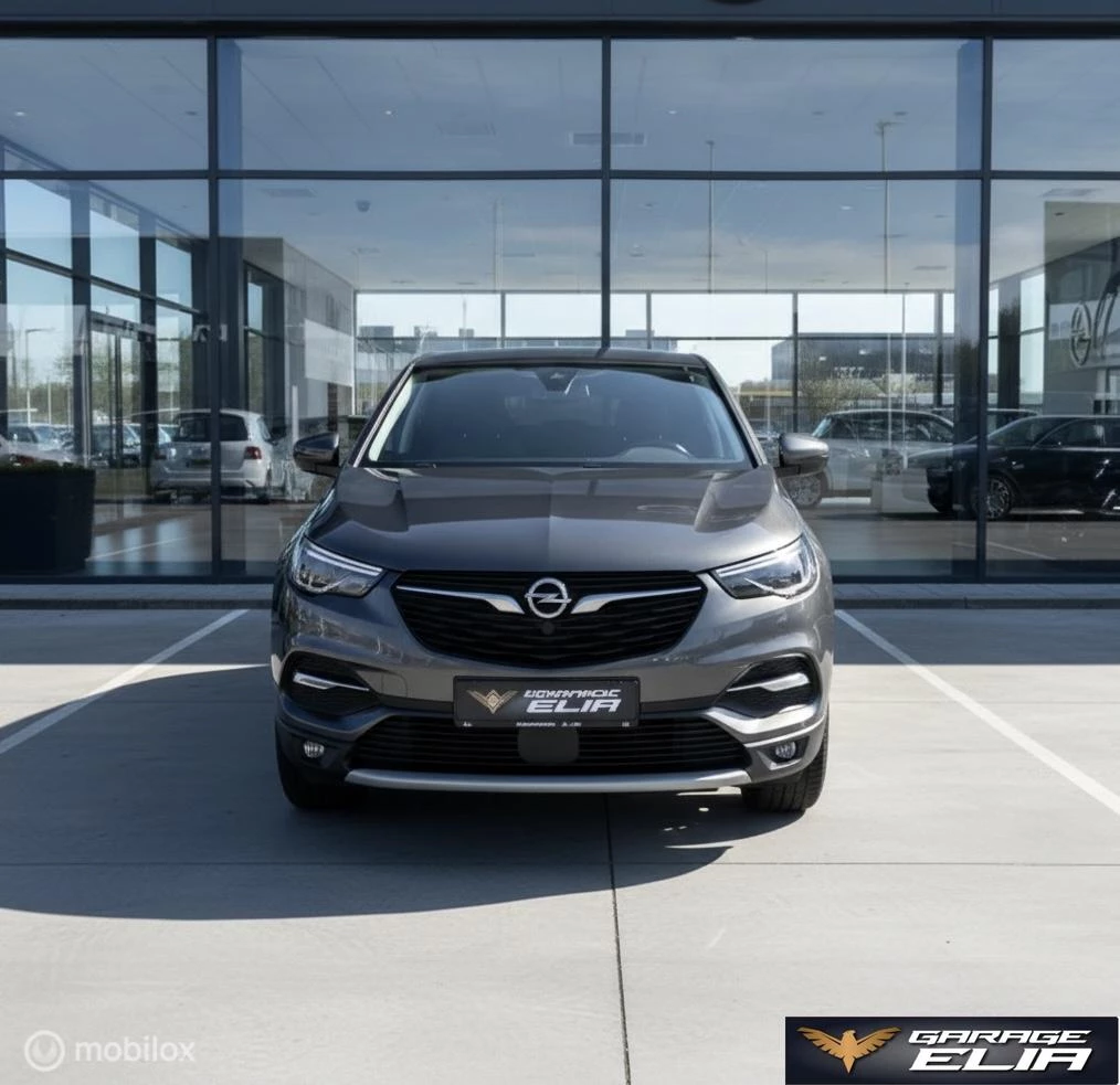 Hoofdafbeelding Opel Grandland X