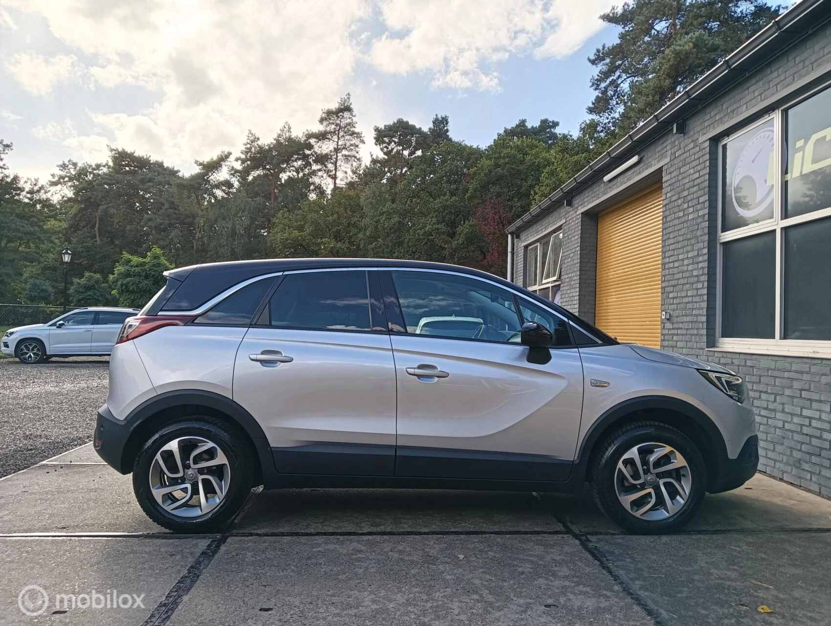 Hoofdafbeelding Opel Crossland X