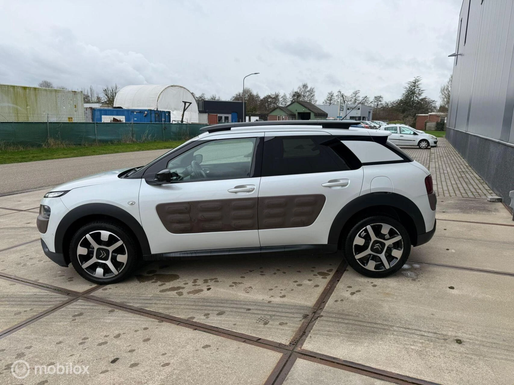 Hoofdafbeelding Citroën C4 Cactus