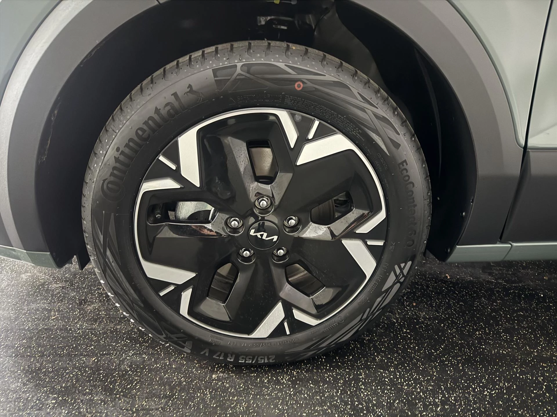 Hoofdafbeelding Kia e-Niro