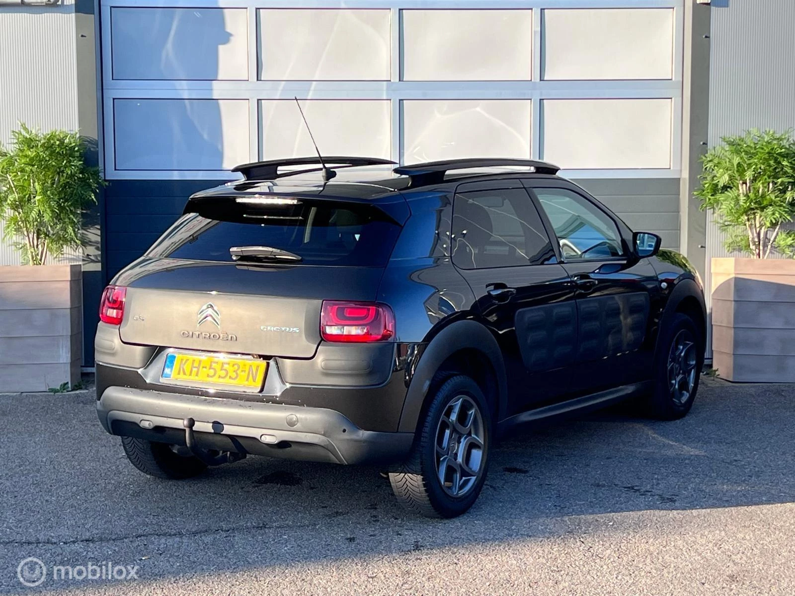Hoofdafbeelding Citroën C4 Cactus