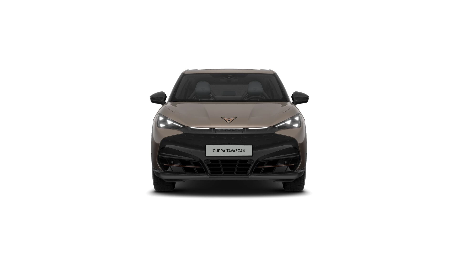 Hoofdafbeelding CUPRA Tavascan