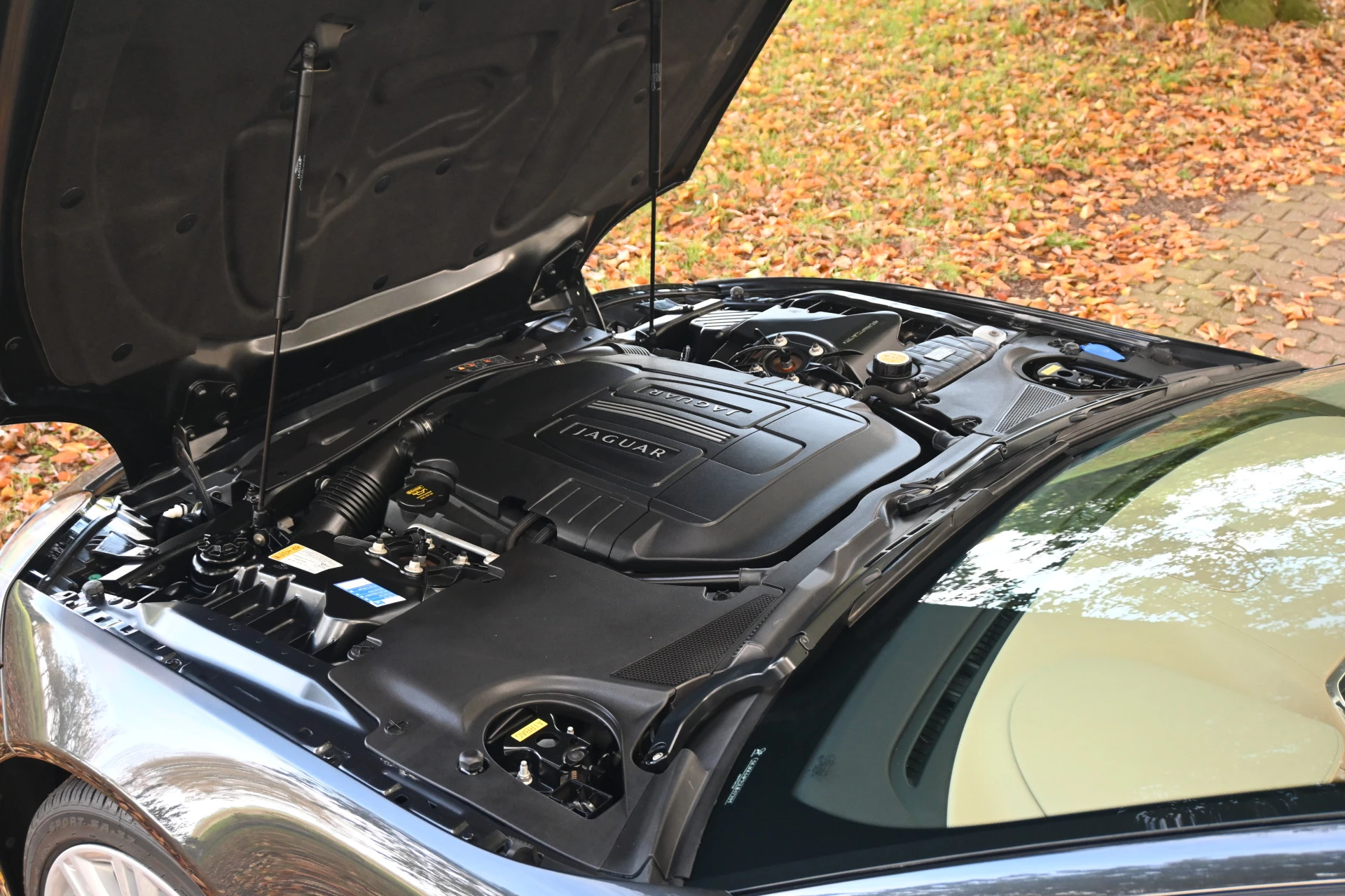 Hoofdafbeelding Jaguar XK