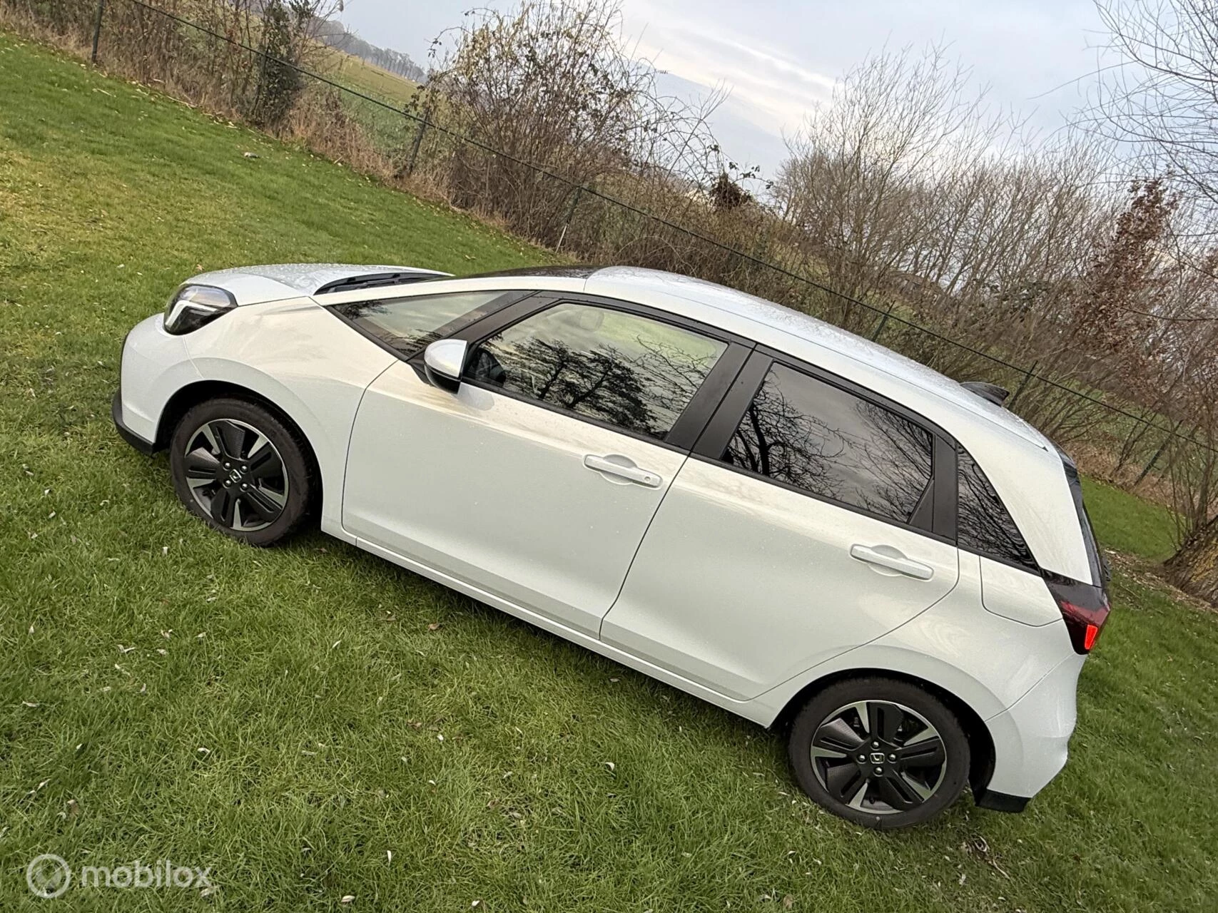 Hoofdafbeelding Honda Jazz