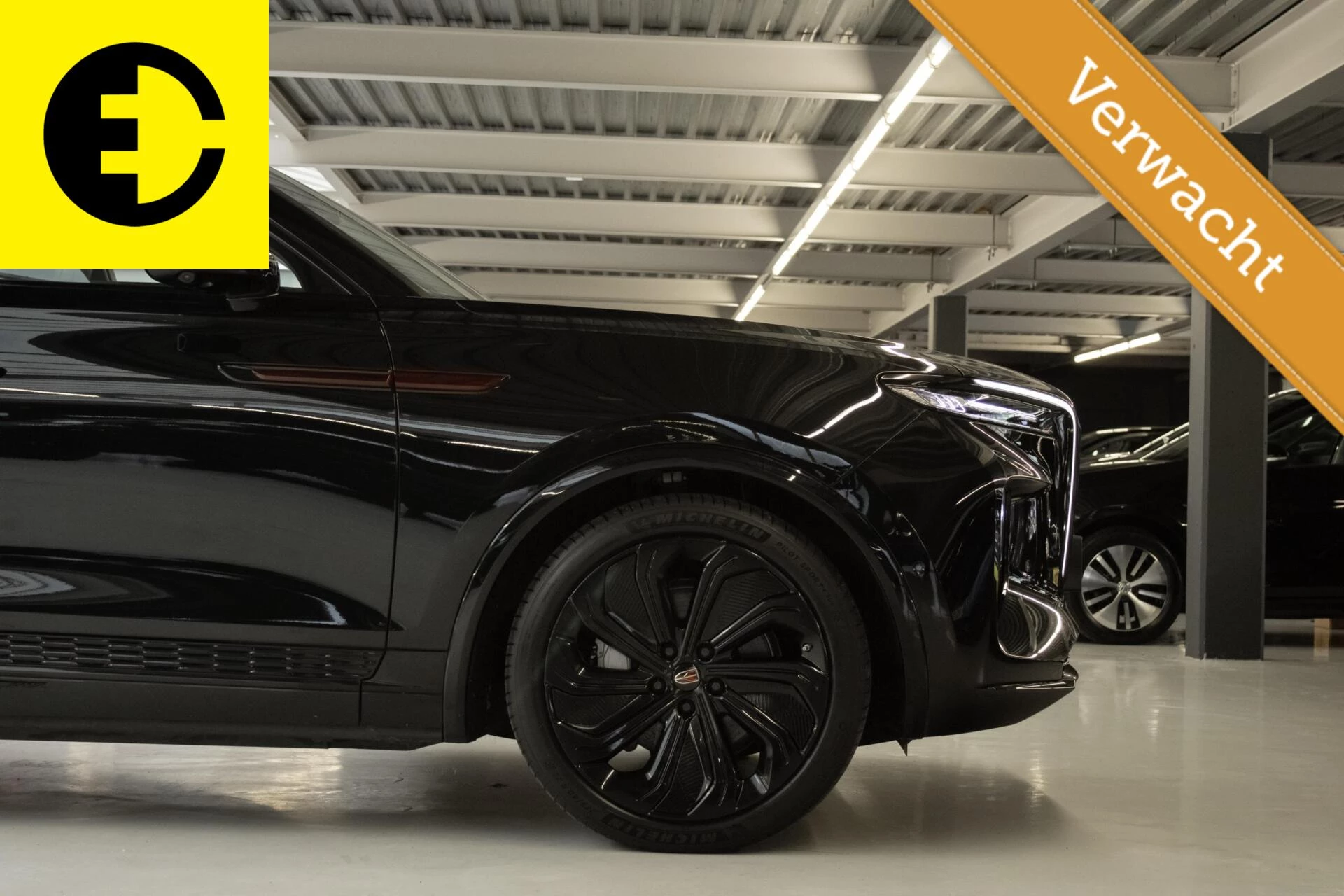 Hoofdafbeelding Hongqi E-HS9