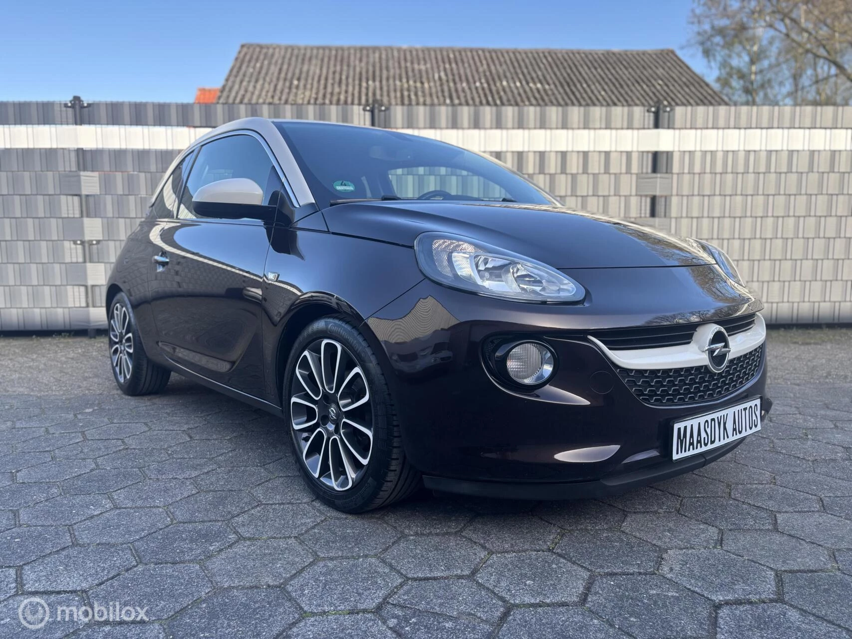 Hoofdafbeelding Opel ADAM