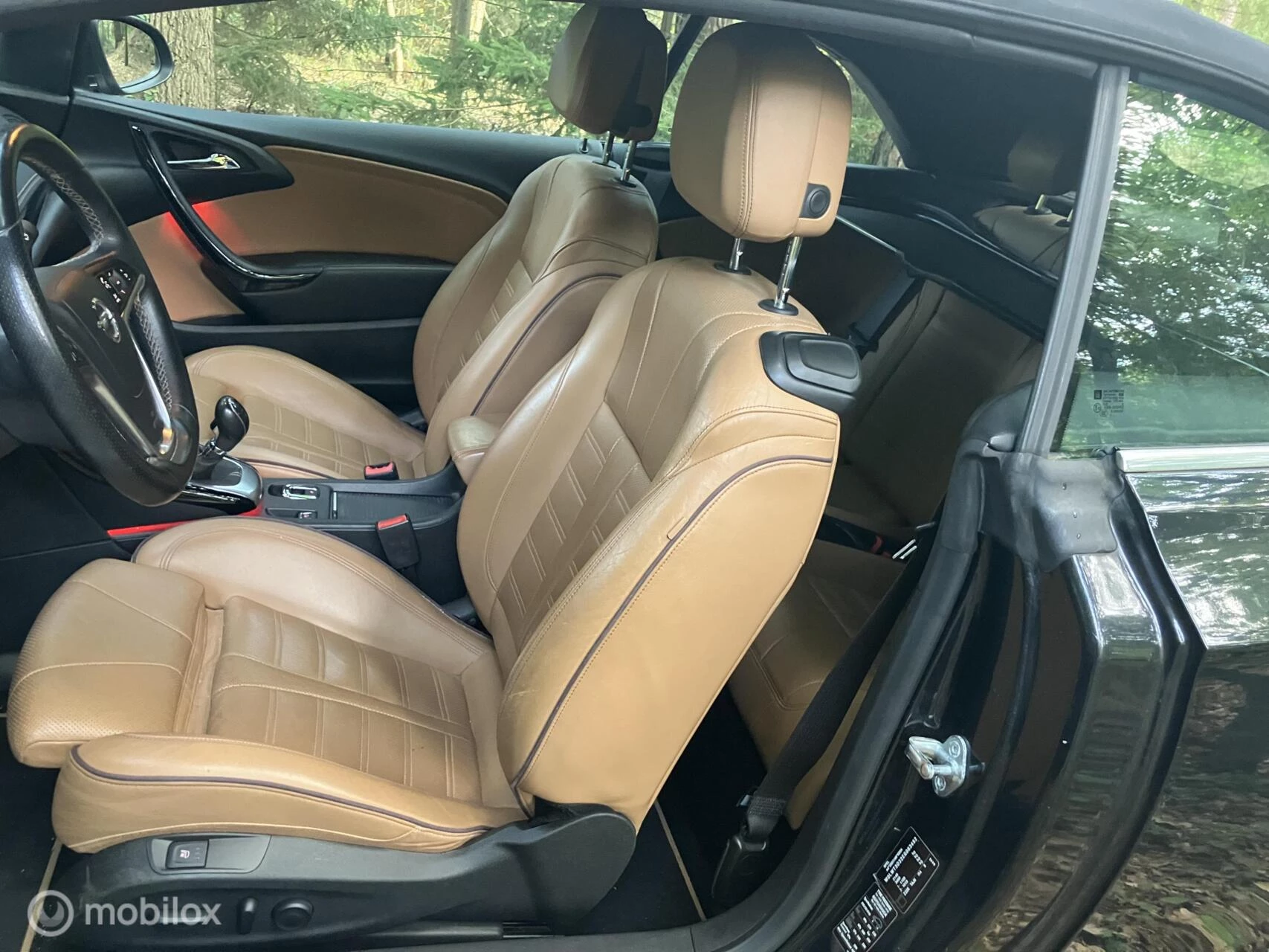 Hoofdafbeelding Opel Cascada