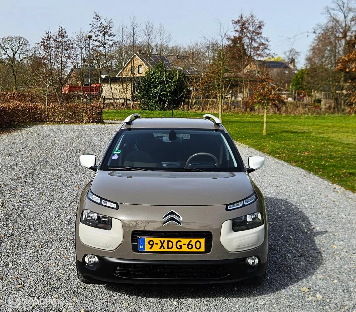 Hoofdafbeelding Citroën C4 Cactus
