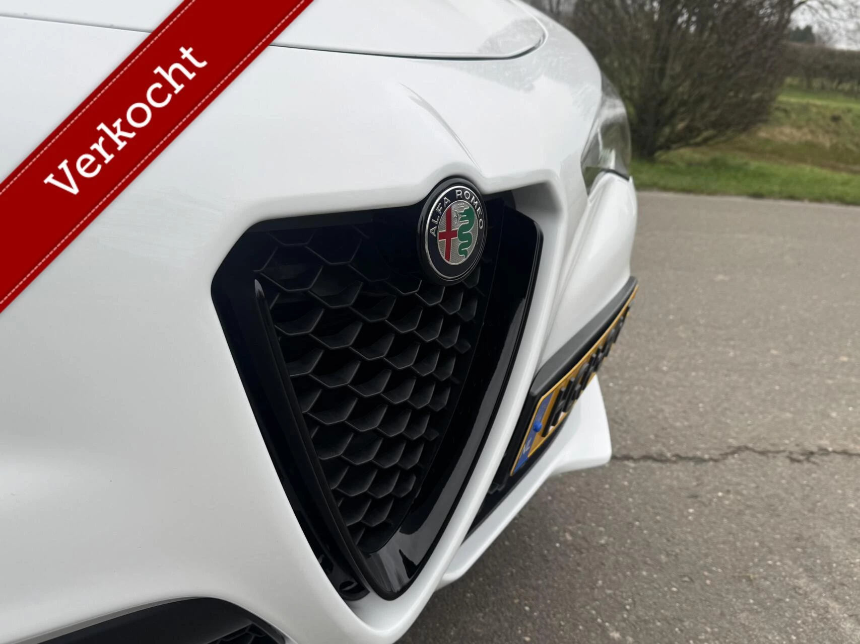 Hoofdafbeelding Alfa Romeo Stelvio