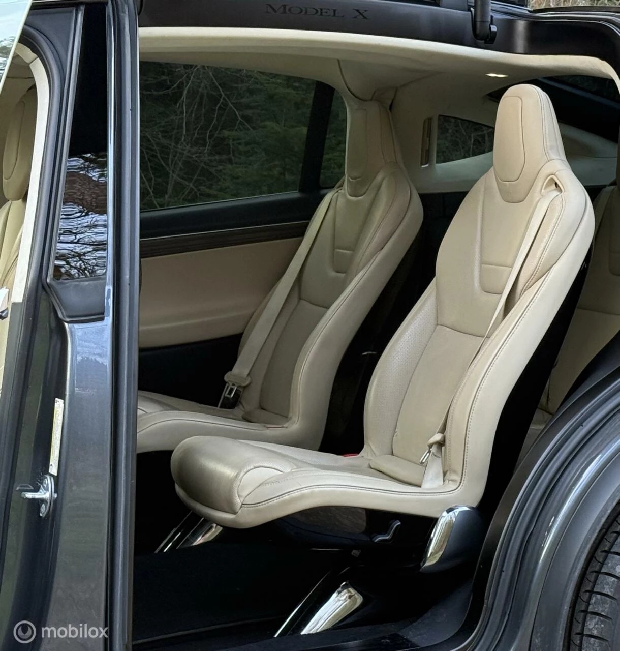 Hoofdafbeelding Tesla Model X