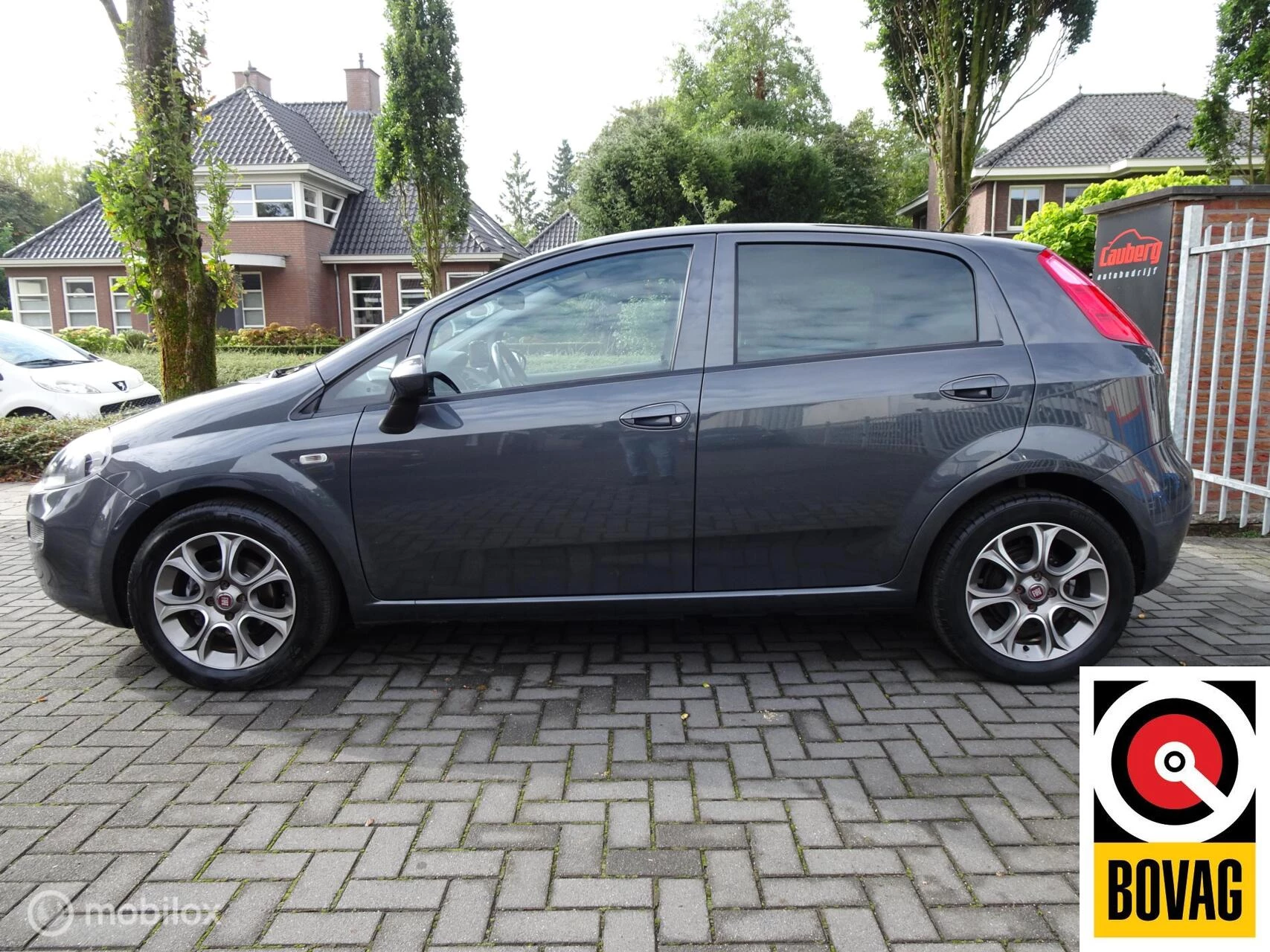 Hoofdafbeelding Fiat Punto