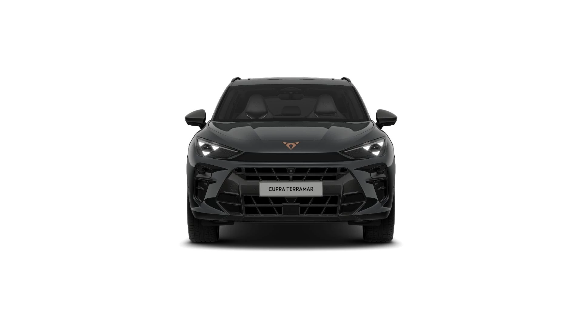 Hoofdafbeelding CUPRA Terramar