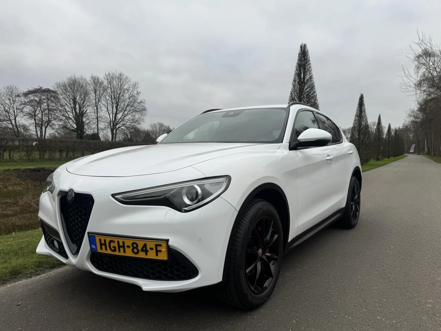 Hoofdafbeelding Alfa Romeo Stelvio