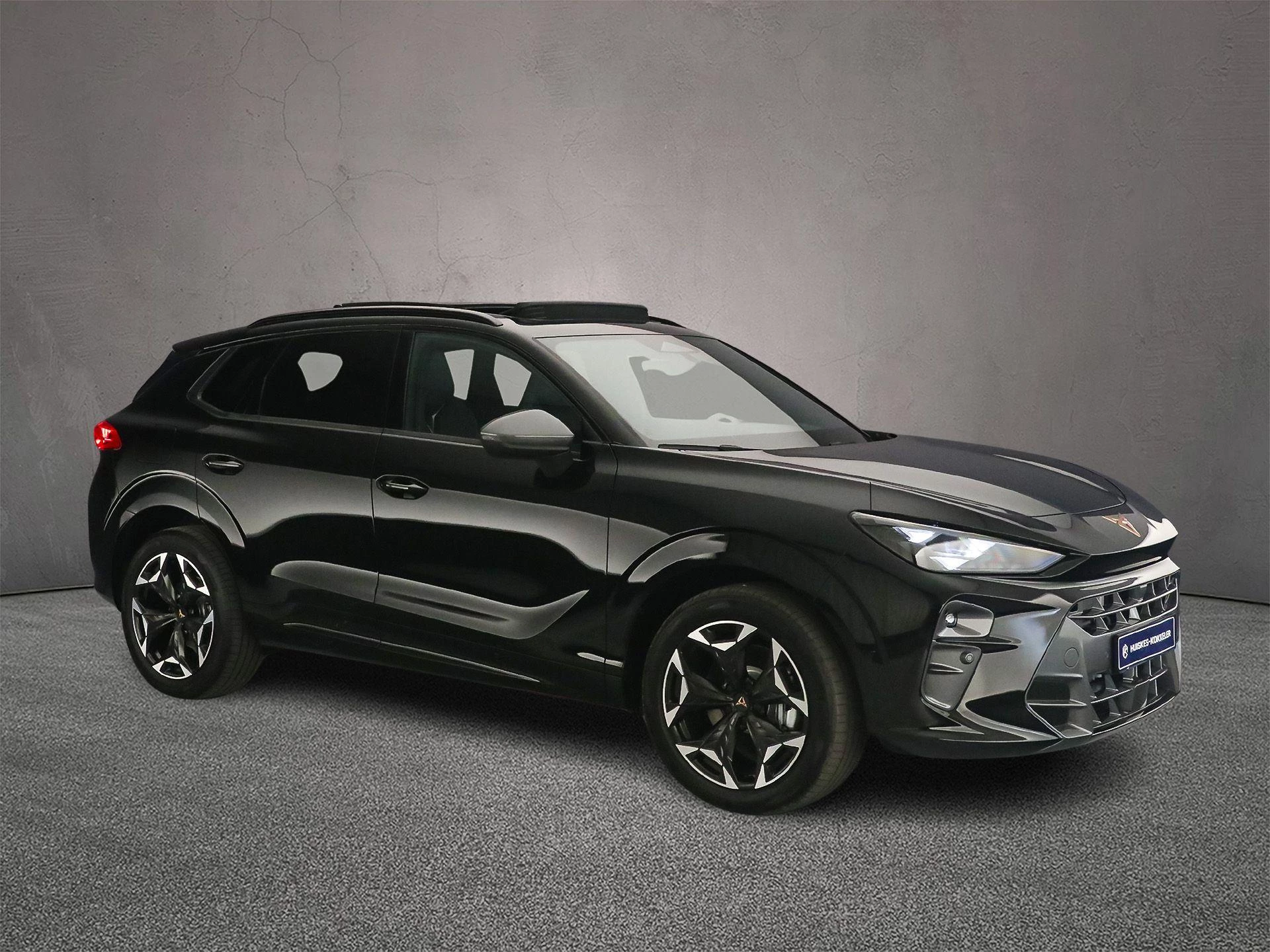 Hoofdafbeelding CUPRA Terramar