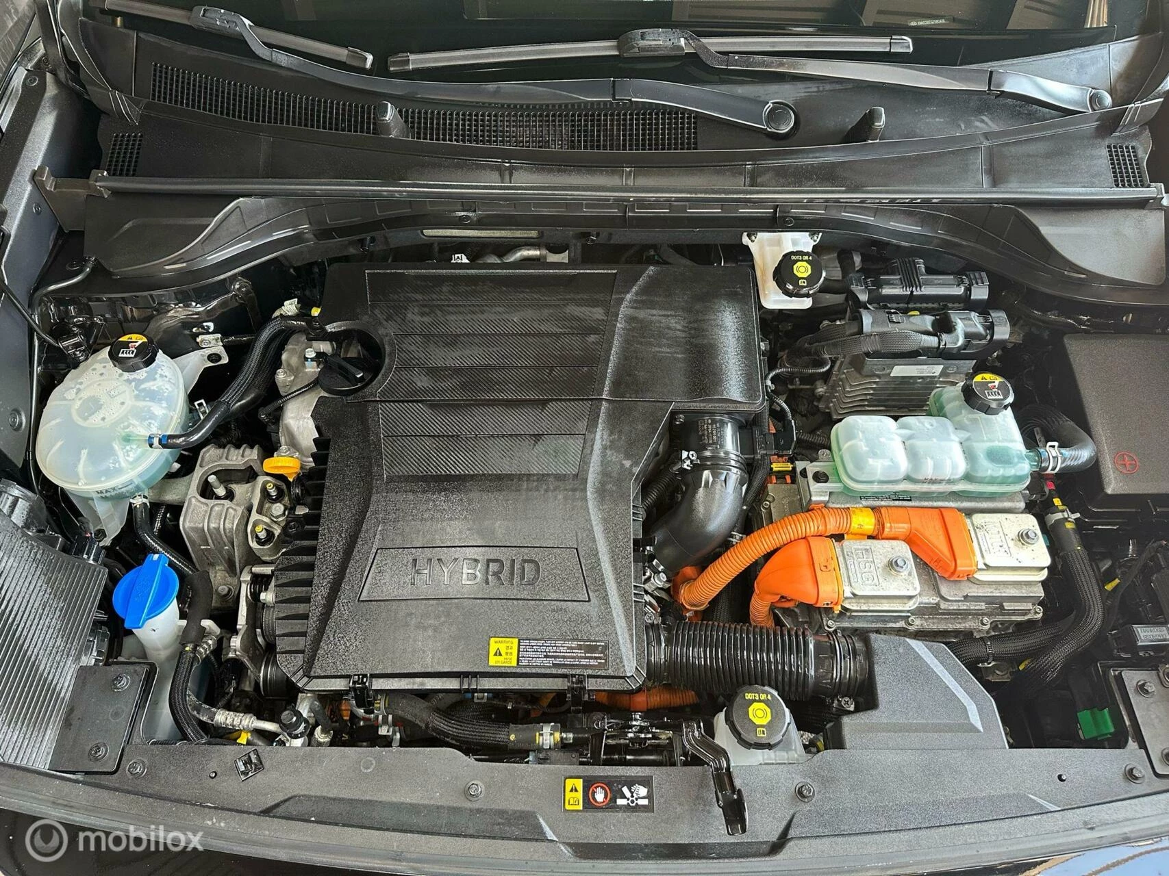 Hoofdafbeelding Kia Niro