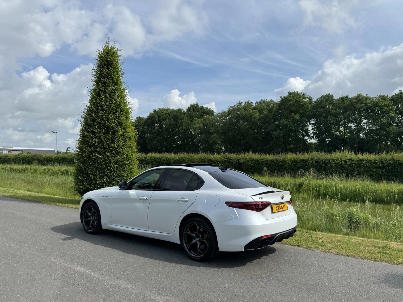 Hoofdafbeelding Alfa Romeo Giulia